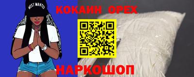 ешки Кингисепп