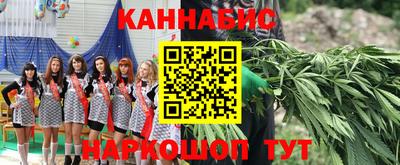 первитин Камышлов