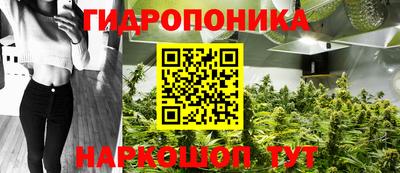 ешки Кингисепп
