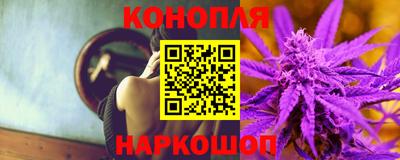 ешки Кингисепп