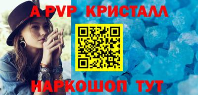 ешки Кингисепп