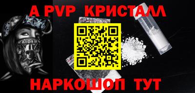 ешки Кингисепп