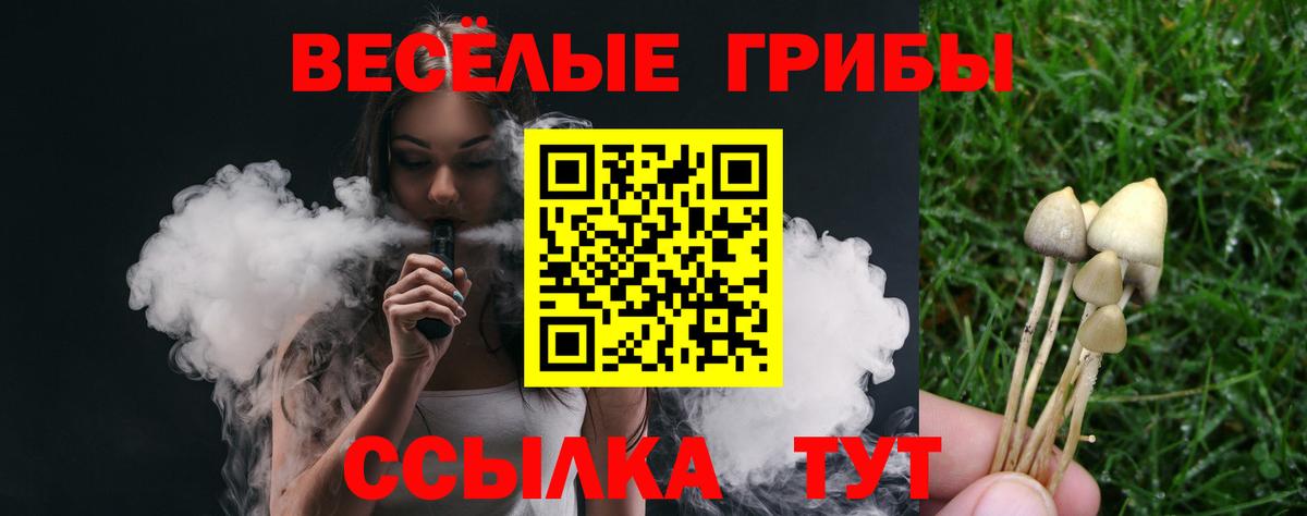 Псилоцибиновые грибы MAGIC MUSHROOMS  Вход с VPN  Киржач 